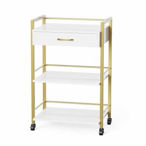 میز ترولی فیشیال ترولی پاکسازی پوست نو به قیمت دست دوم با گارنتی ارسال به سراسر ایران از تهران